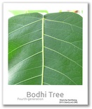 the photo of Bodhi Tree