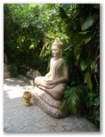 Shakyamuni Buddha Image