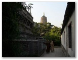 Buddhist temple photos